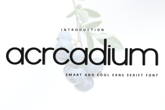 Acrcadium: The Modern Sans Serif for Campaigns