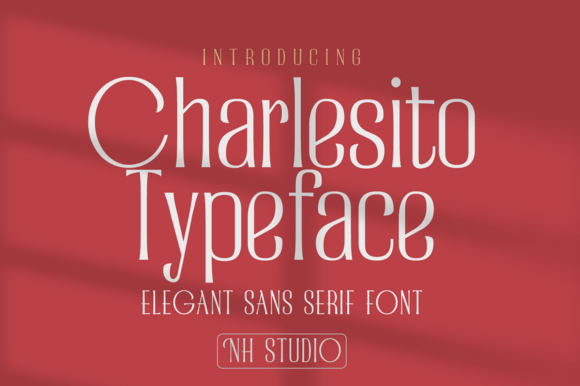 Charlesito: A Modern Sans Serif Font for Editorial Design