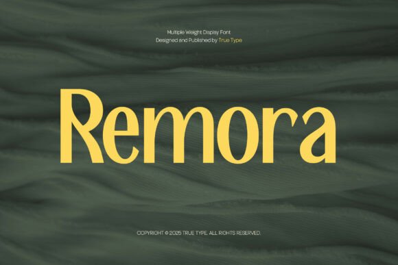 Remora: A Contemporary Sans Serif for Modern Web Design